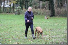 bild016