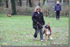 bild019