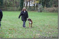 bild020