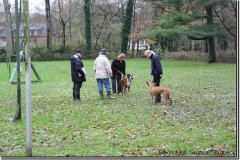 bild021