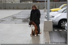 bild030