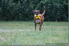 bild002