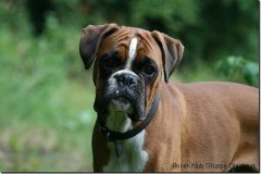 bild004