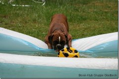 bild008