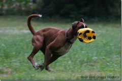 bild014