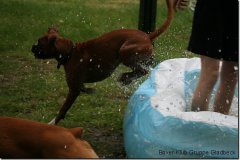 bild016
