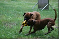 bild017