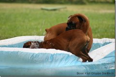 bild019