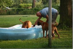 bild021