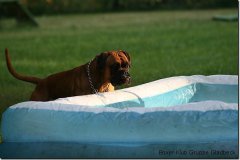bild022
