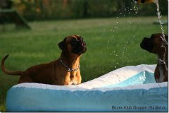 bild023