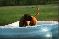 bild025