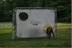 bild027