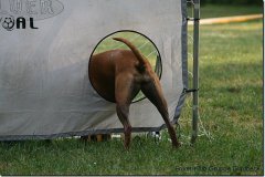 bild028