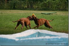 bild029