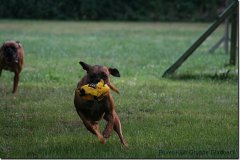bild030