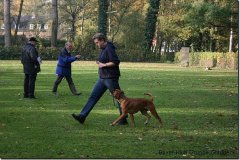 bild003