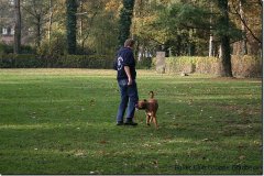 bild005