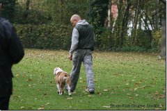 bild008