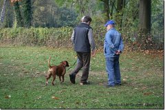 bild010