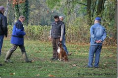 bild011