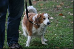 bild020