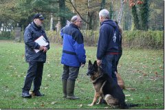 bild021