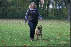 bild023