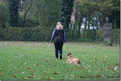 bild024