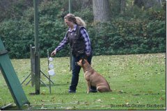 bild026