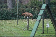 bild027