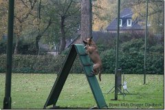 bild028