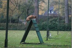 bild029