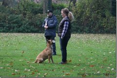 bild030