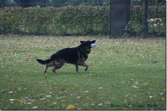 bild034