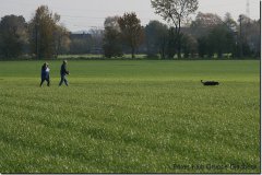 bild042
