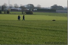 bild043