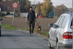 bild046