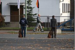 bild054