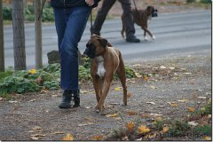 bild056