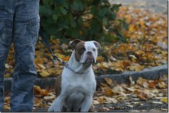 bild058