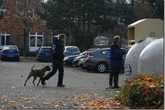 bild059