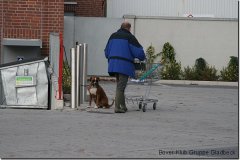 bild061