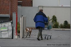 bild065