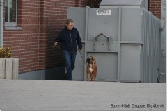 bild068
