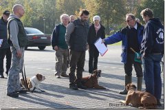 bild072