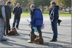 bild073