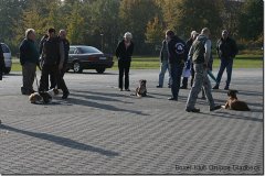 bild075