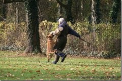 bild081