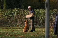 bild083